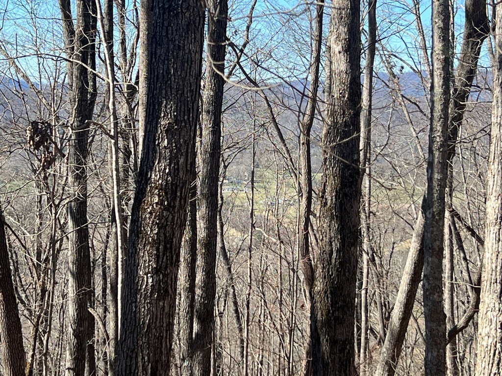 Lots 7&8 Wikle Road #7,8,+, HAYESVILLE, North Carolina image 32
