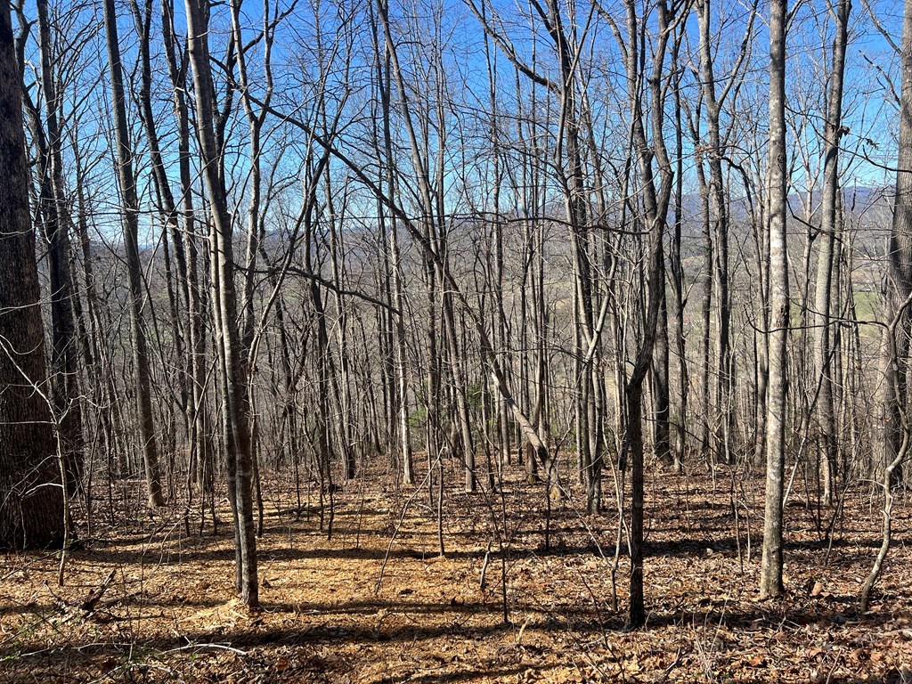 Lots 7&8 Wikle Road #7,8,+, HAYESVILLE, North Carolina image 22