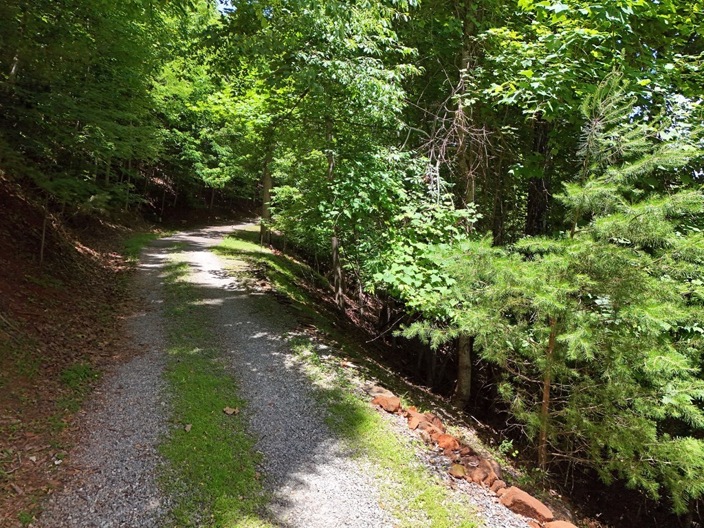 Lot 29 Hidden Summit #29, HIAWASSEE, Georgia image 6