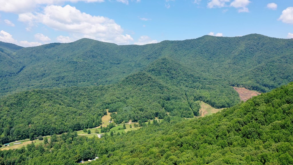 11 Treetop #11, HAYESVILLE, North Carolina image 2