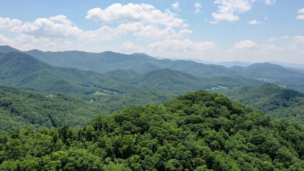 11 Treetop #11, HAYESVILLE, North Carolina image 1