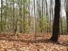 Lot 25 Laurel Mountain Drive #25, BRASSTOWN, North Carolina image 1