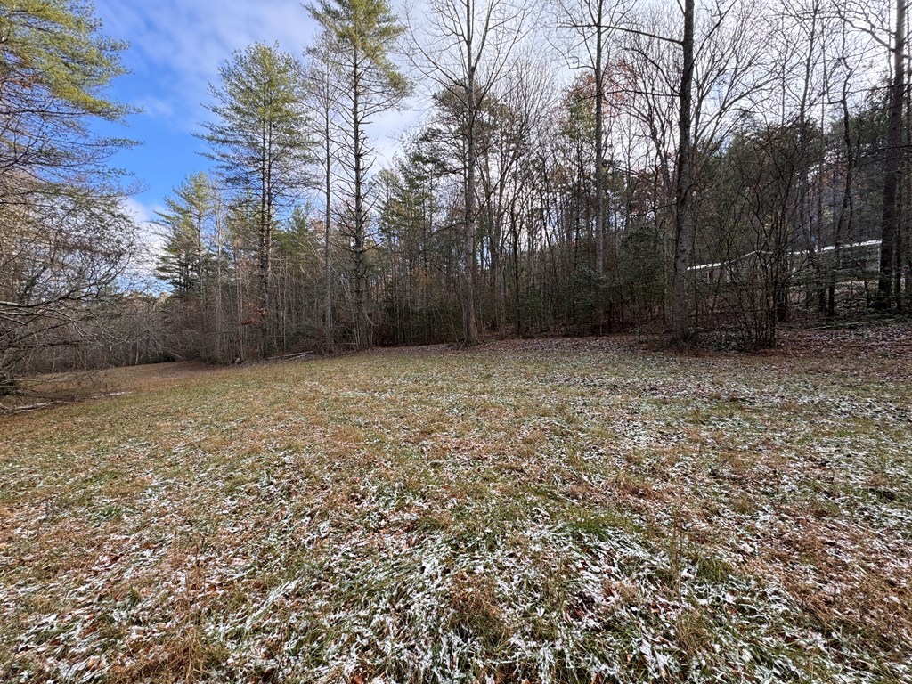 00 Shuler Mountain, MURPHY, North Carolina image 14