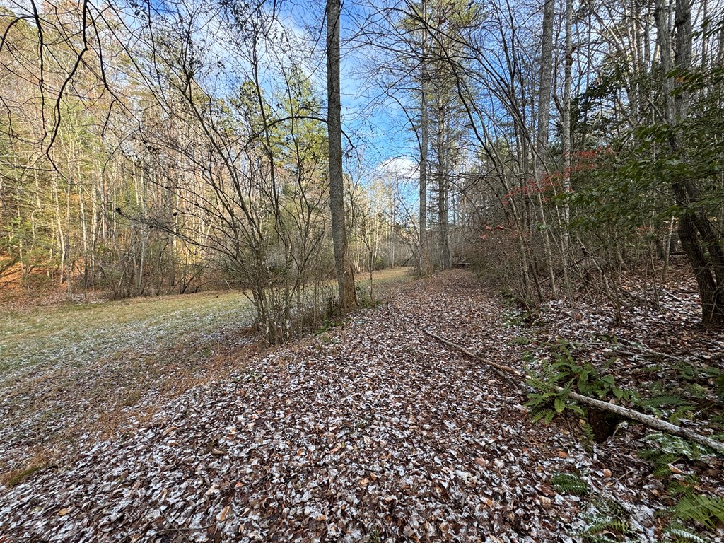 00 Shuler Mountain, MURPHY, North Carolina image 6