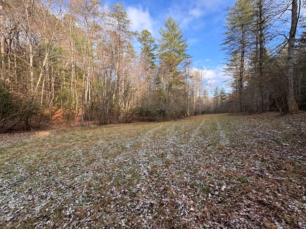 00 Shuler Mountain, MURPHY, North Carolina image 10