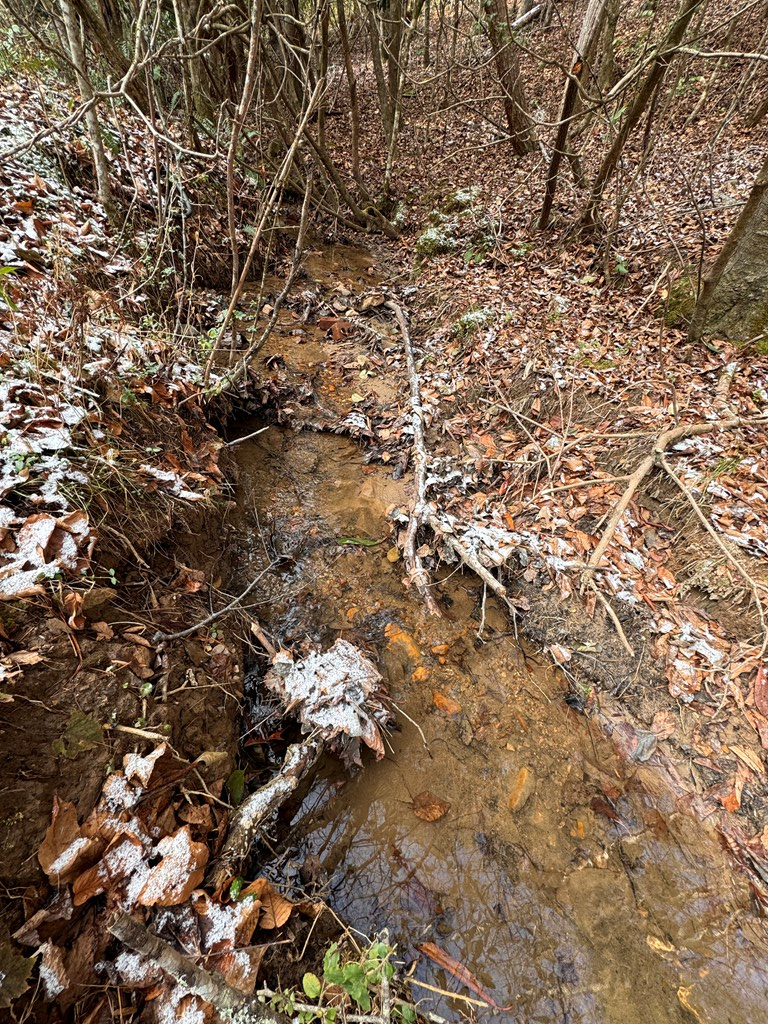 00 Shuler Mountain, MURPHY, North Carolina image 2