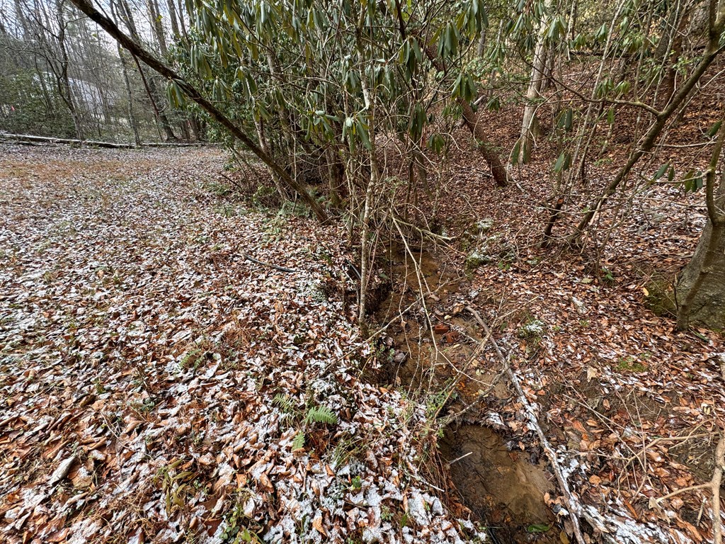 00 Shuler Mountain, MURPHY, North Carolina image 7