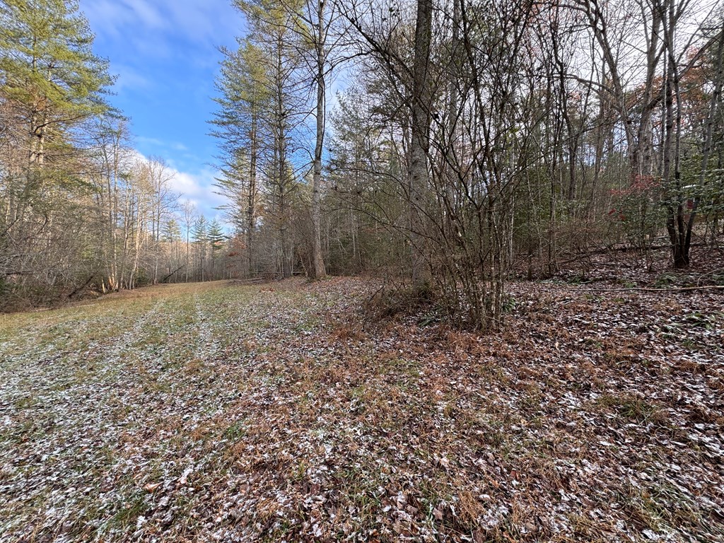 00 Shuler Mountain, MURPHY, North Carolina image 9