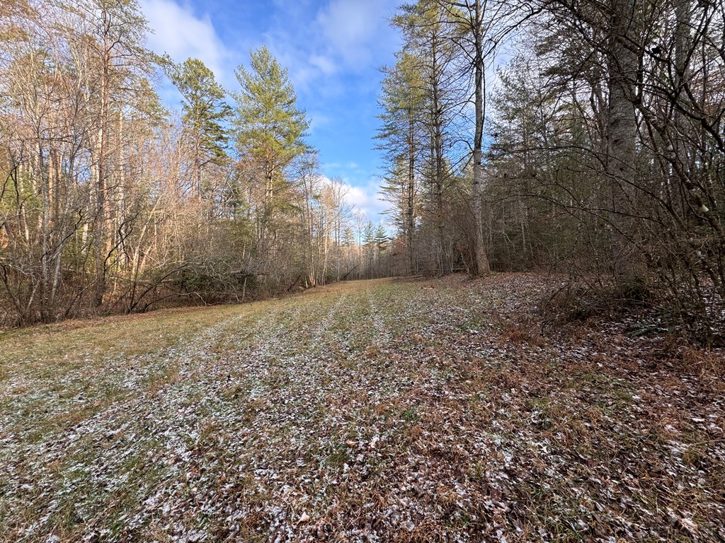 00 Shuler Mountain, MURPHY, North Carolina image 8