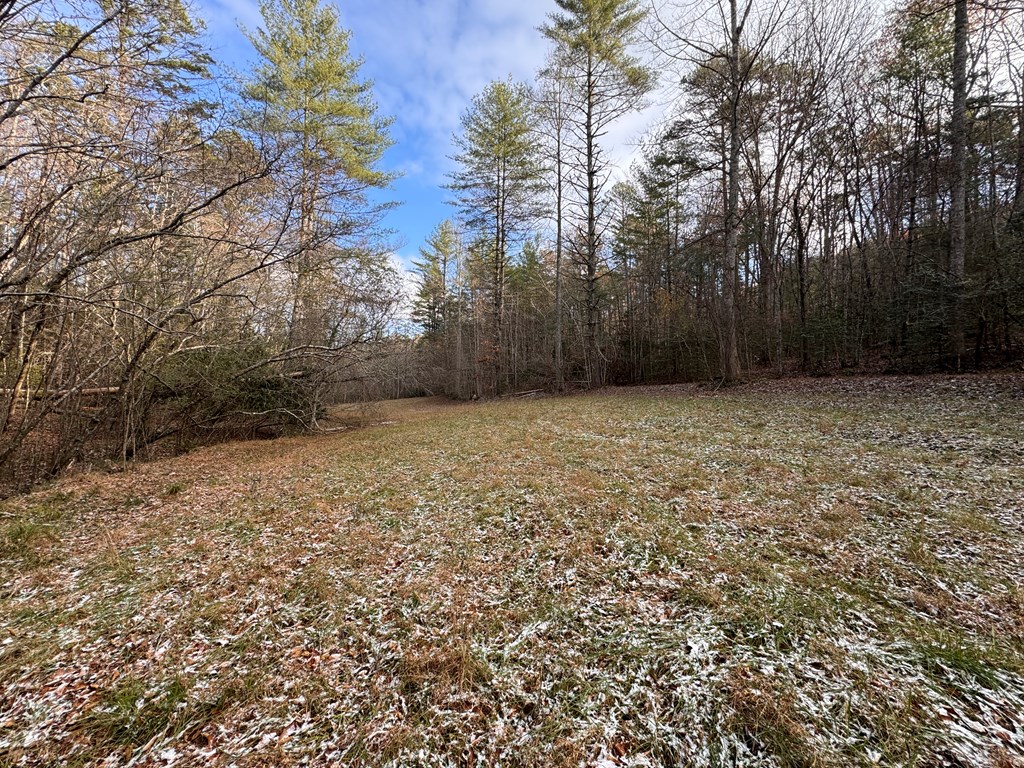 00 Shuler Mountain, MURPHY, North Carolina image 11