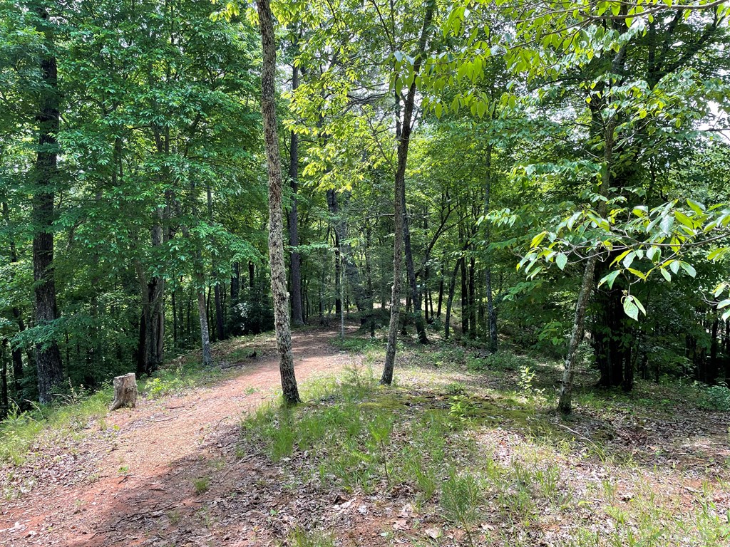 00 Collett Woods Trail # 21, ANDREWS, North Carolina image 14