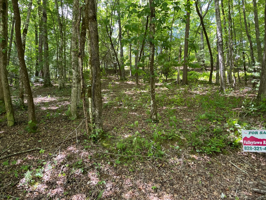 00 Collett Woods Trail # 21, ANDREWS, North Carolina image 25