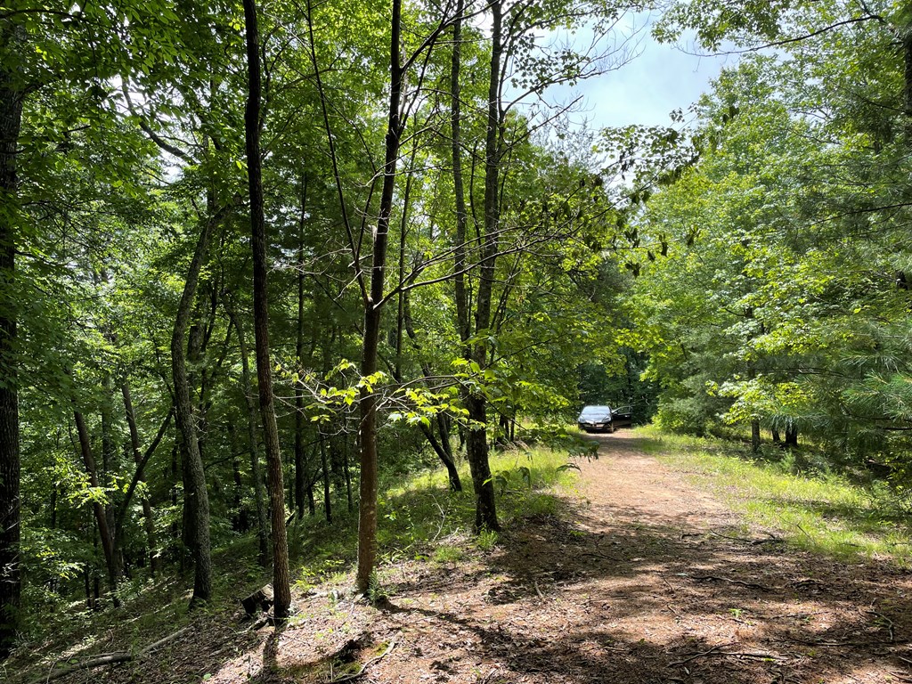 00 Collett Woods Trail # 21, ANDREWS, North Carolina image 12