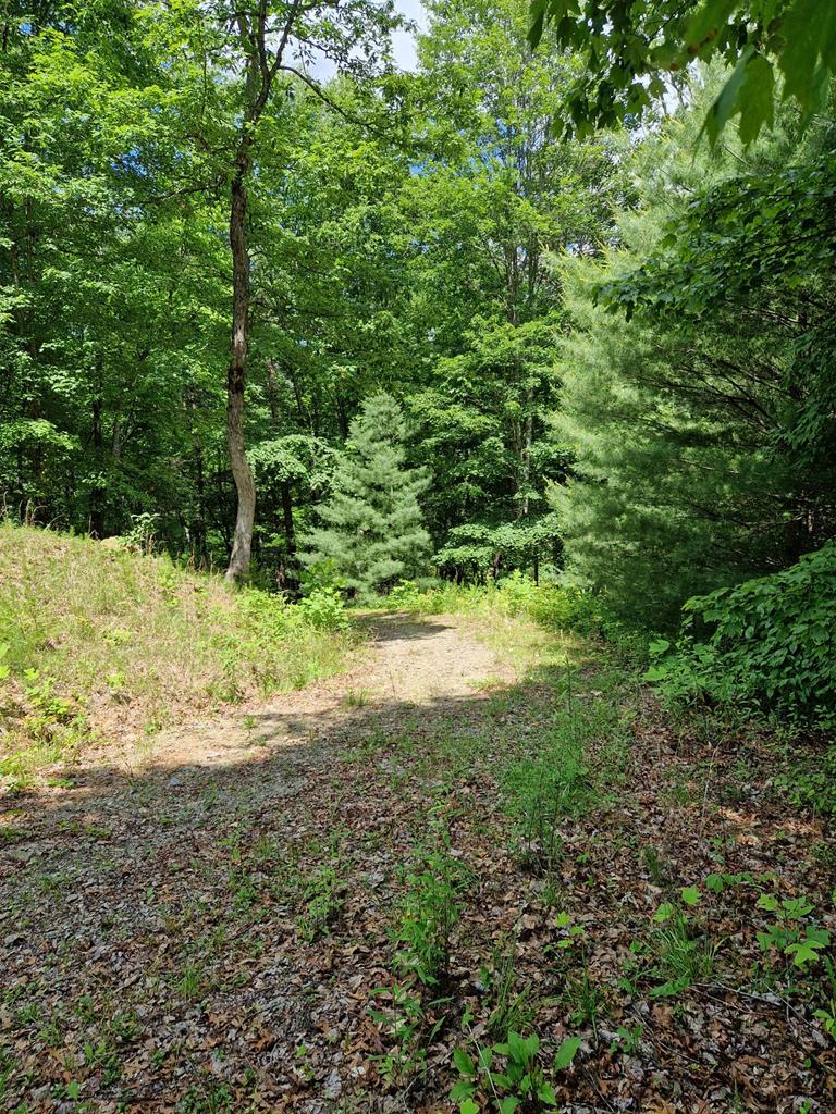 00 Collett Woods Trail # 21, ANDREWS, North Carolina image 4