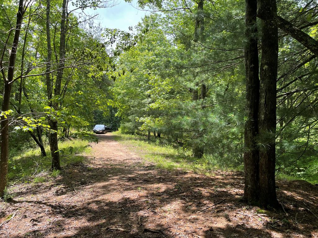 00 Collett Woods Trail # 21, ANDREWS, North Carolina image 1