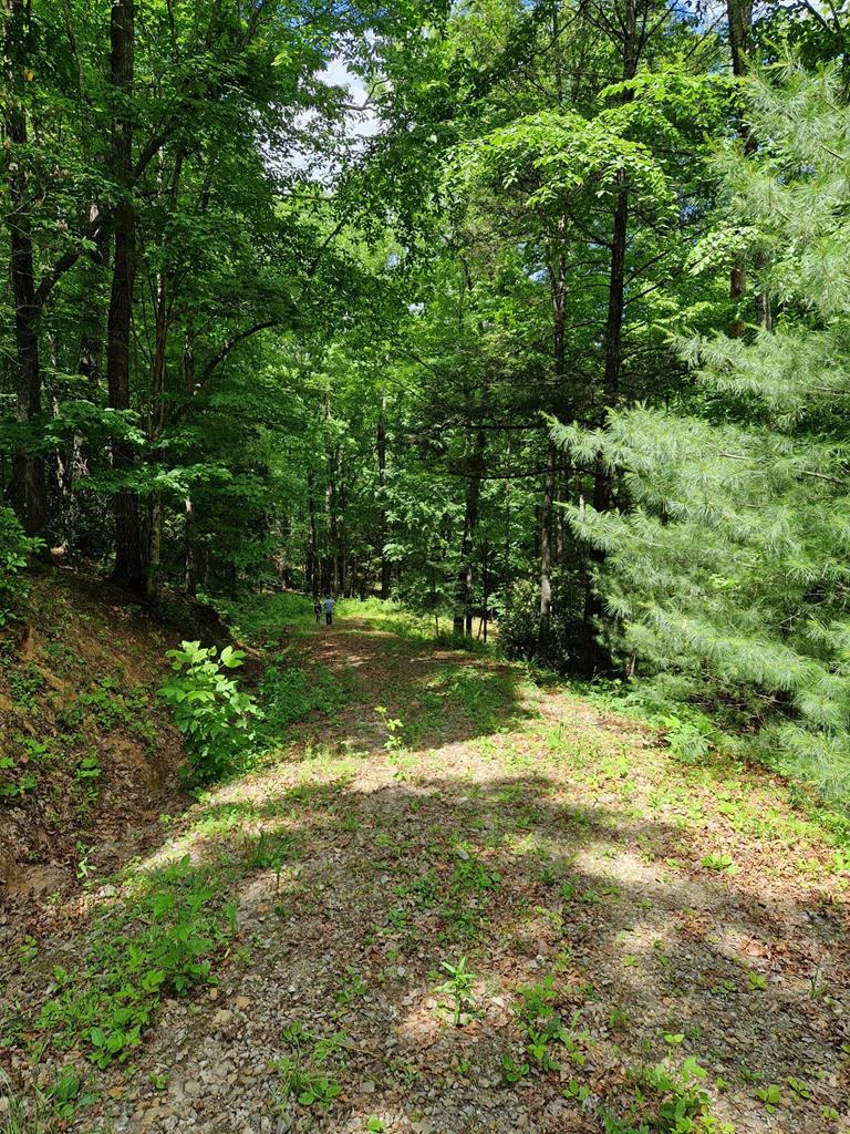 00 Collett Woods Trail # 21, ANDREWS, North Carolina image 3