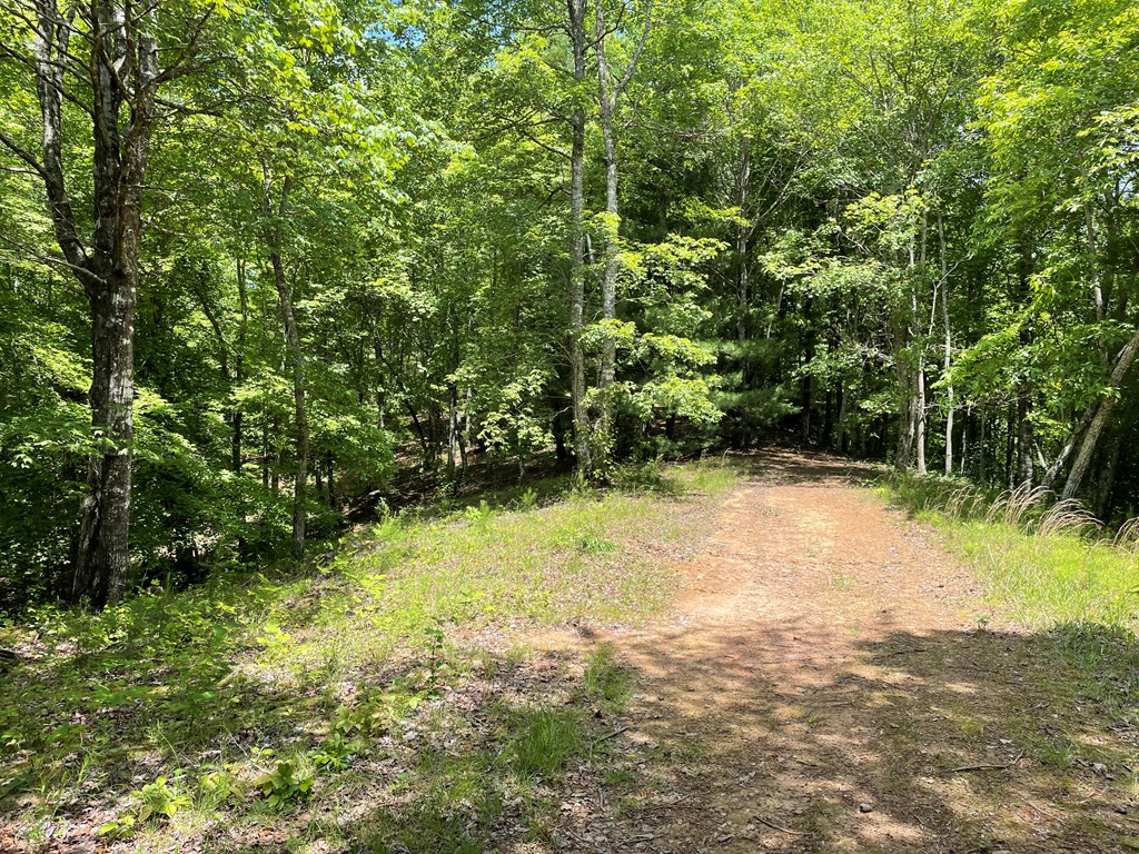 00 Collett Woods Trail # 21, ANDREWS, North Carolina image 7