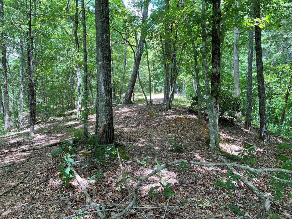 00 Collett Woods Trail # 21, ANDREWS, North Carolina image 8