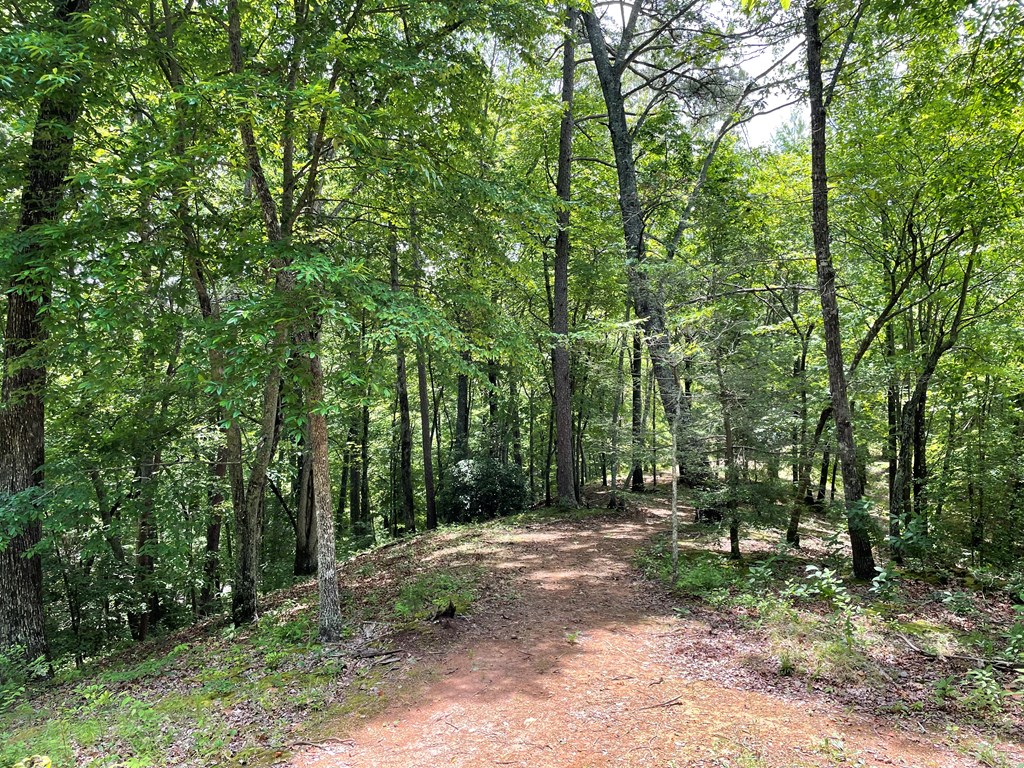 00 Collett Woods Trail # 21, ANDREWS, North Carolina image 27