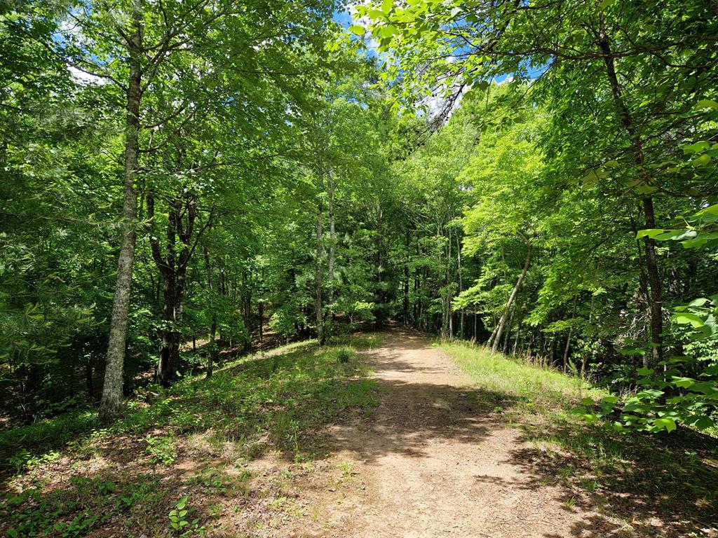 00 Collett Woods Trail # 21, ANDREWS, North Carolina image 5