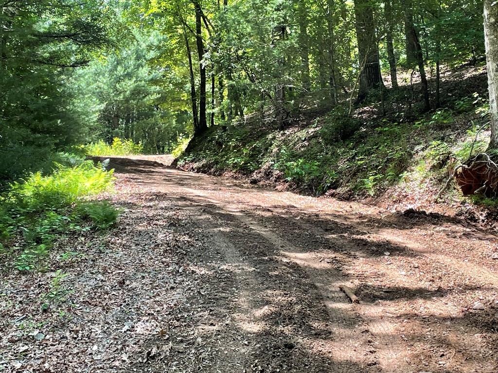 00 Collett Woods Trail # 21, ANDREWS, North Carolina image 21