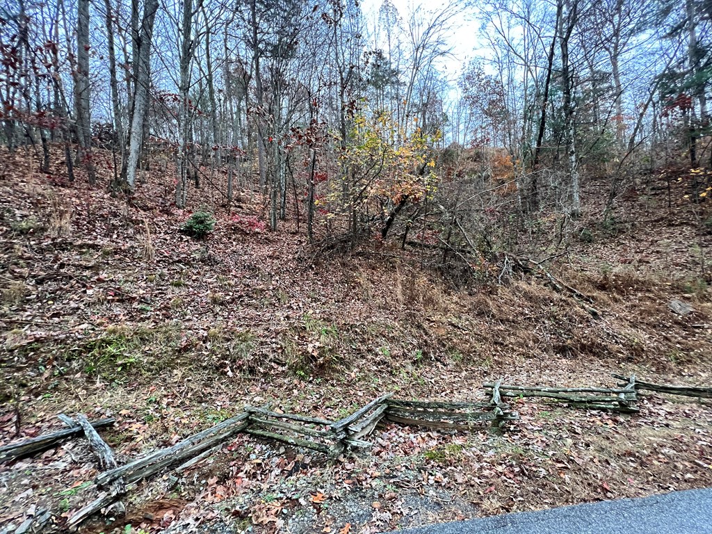 Lot 449 Mountain Tops Road #449, BLUE RIDGE, Georgia image 8