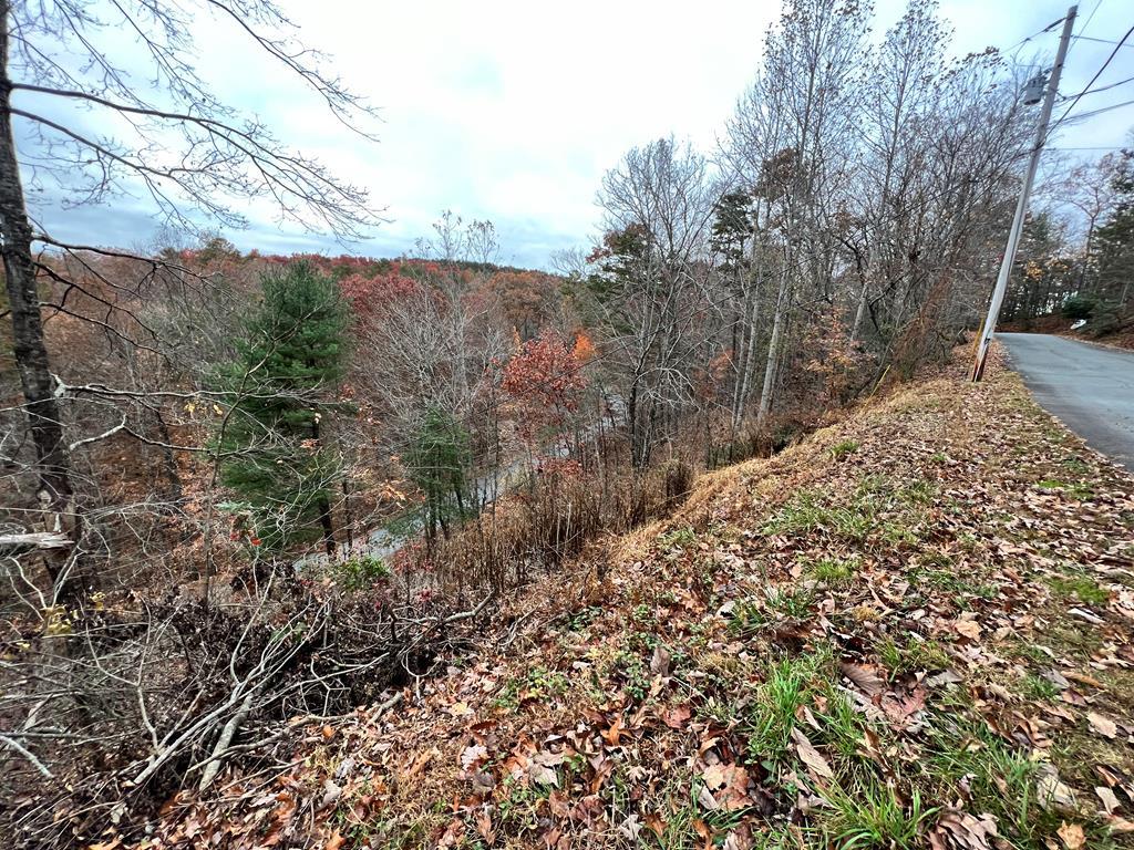 Lot 449 Mountain Tops Road #449, BLUE RIDGE, Georgia image 2