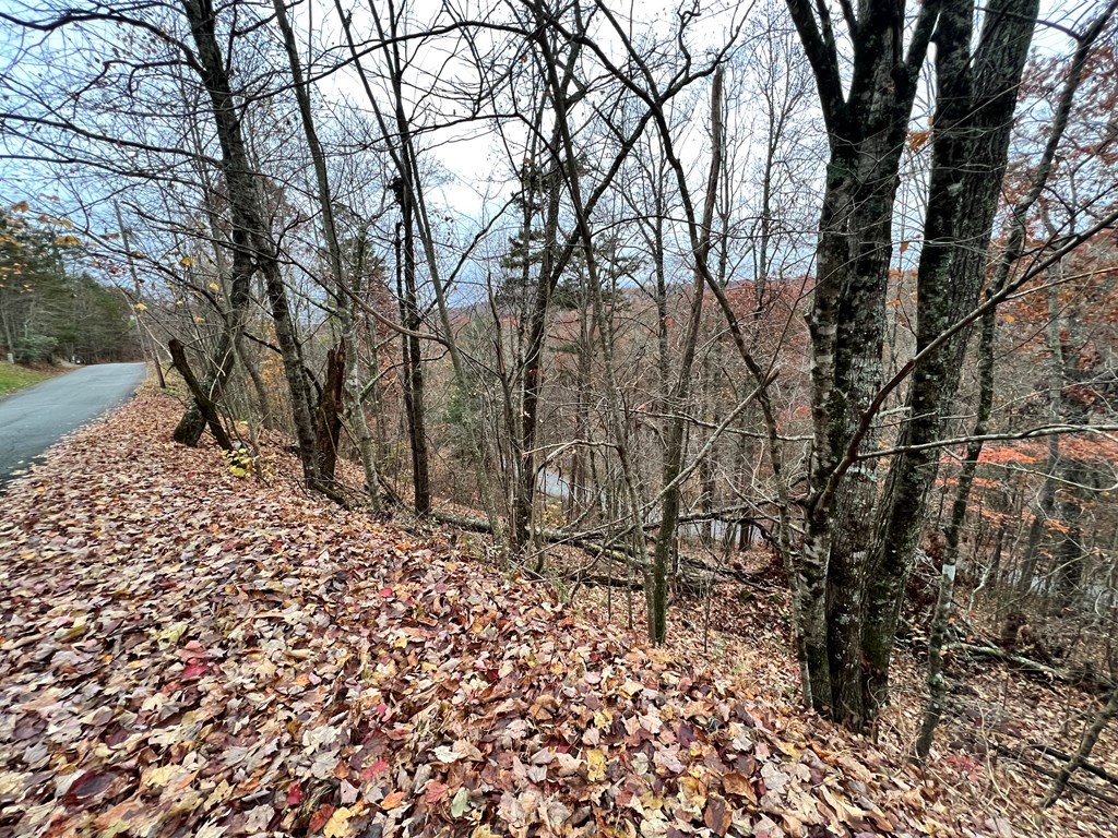 Lot 449 Mountain Tops Road #449, BLUE RIDGE, Georgia image 14