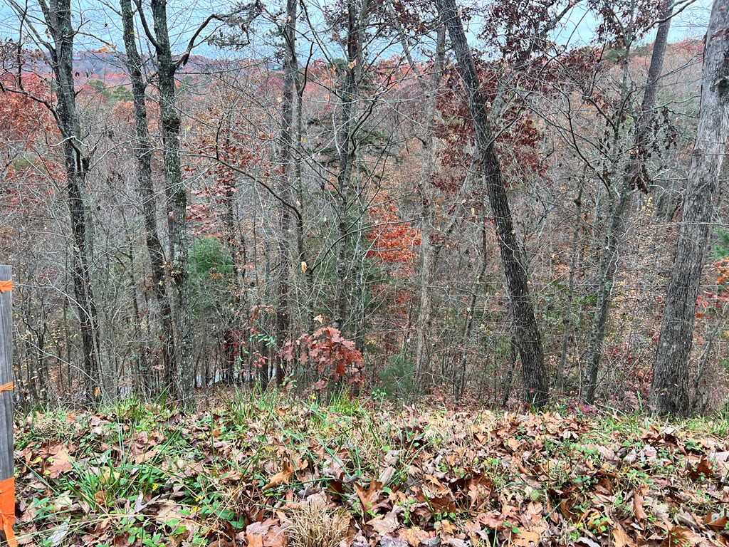 Lot 449 Mountain Tops Road #449, BLUE RIDGE, Georgia image 3