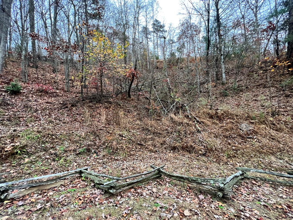 Lot 449 Mountain Tops Road #449, BLUE RIDGE, Georgia image 4