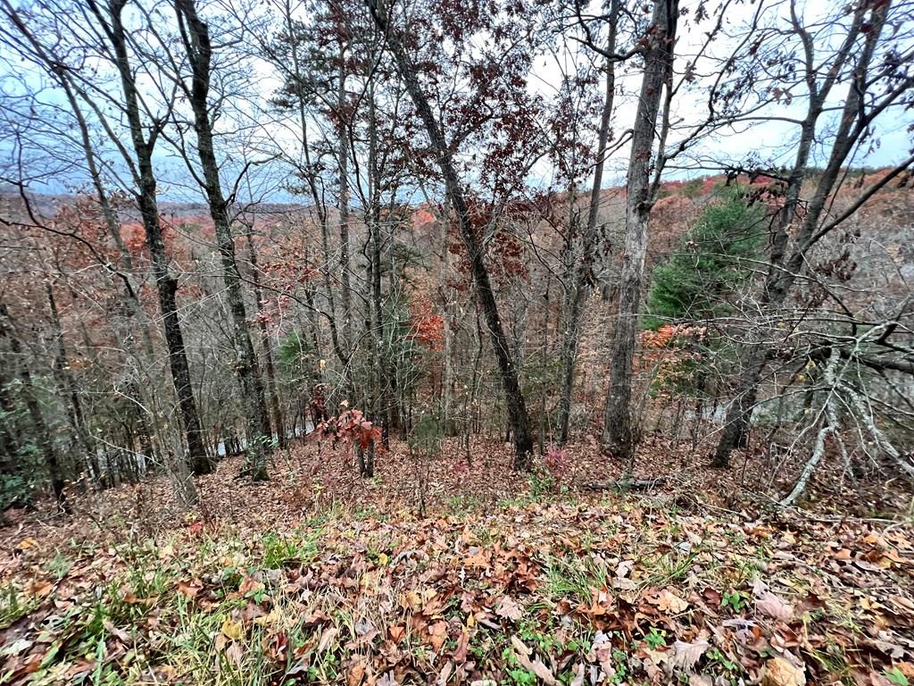 Lot 449 Mountain Tops Road #449, BLUE RIDGE, Georgia image 1