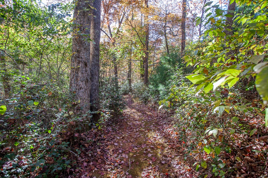 197 Dickey Creek Estates, MURPHY, North Carolina image 4