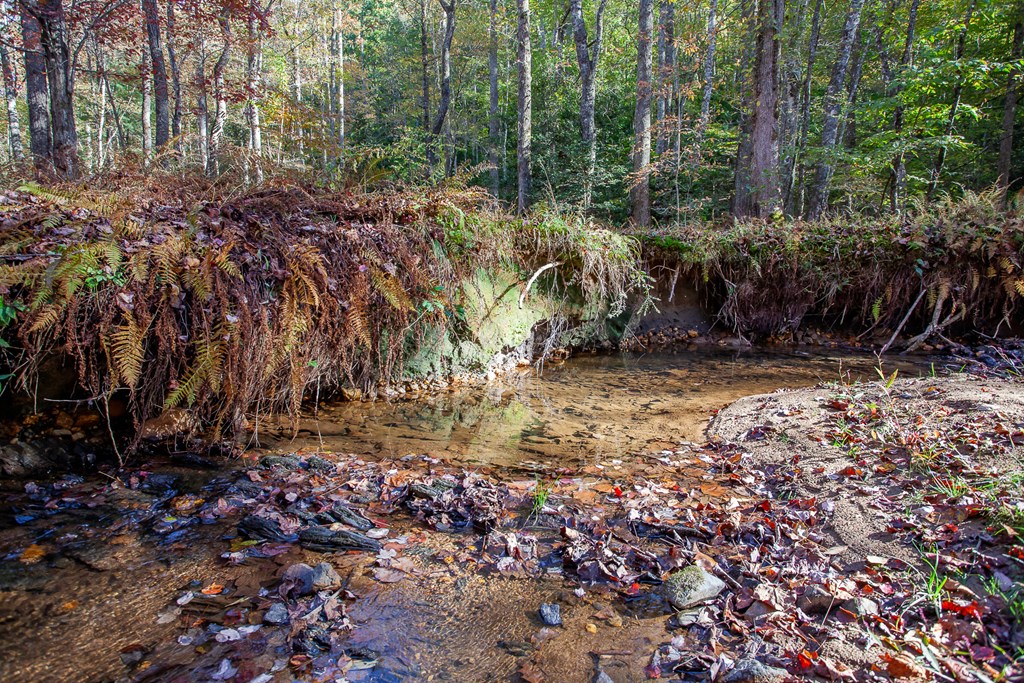 197 Dickey Creek Estates, MURPHY, North Carolina image 3