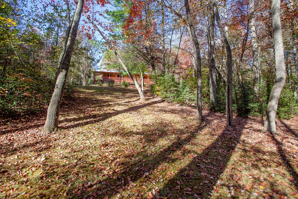 197 Dickey Creek Estates, MURPHY, North Carolina image 49