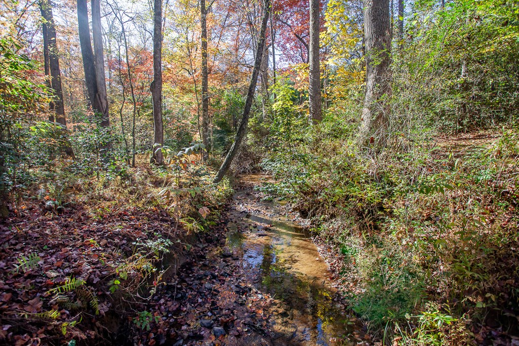 197 Dickey Creek Estates, MURPHY, North Carolina image 50