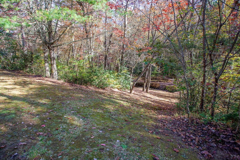 197 Dickey Creek Estates, MURPHY, North Carolina image 7