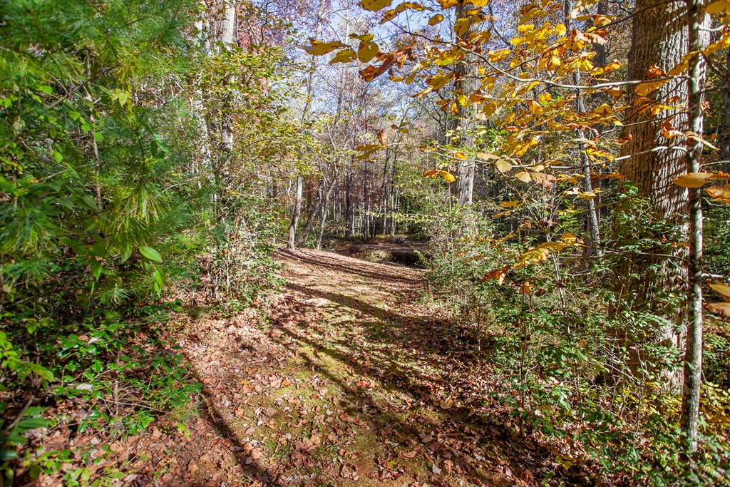 197 Dickey Creek Estates, MURPHY, North Carolina image 6