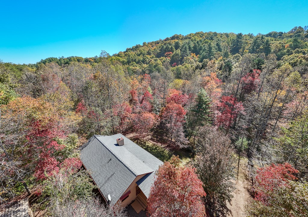 197 Dickey Creek Estates, MURPHY, North Carolina image 25