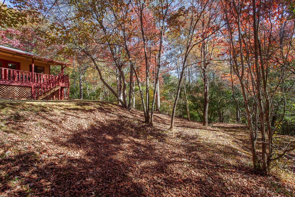 197 Dickey Creek Estates, MURPHY, North Carolina image 27