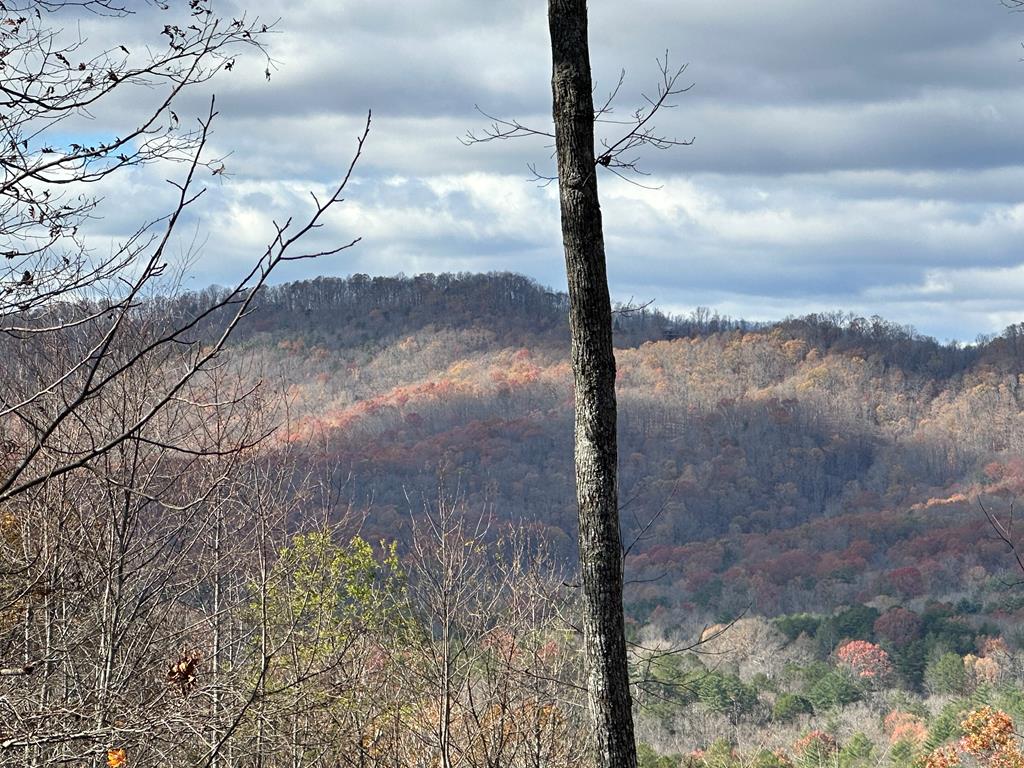 00 Mountain Top Dr #14-15, MURPHY, North Carolina image 1