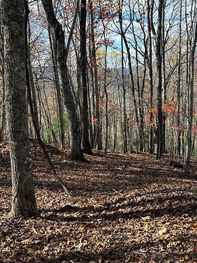 00 Mountain Top Dr #14-15, MURPHY, North Carolina image 8