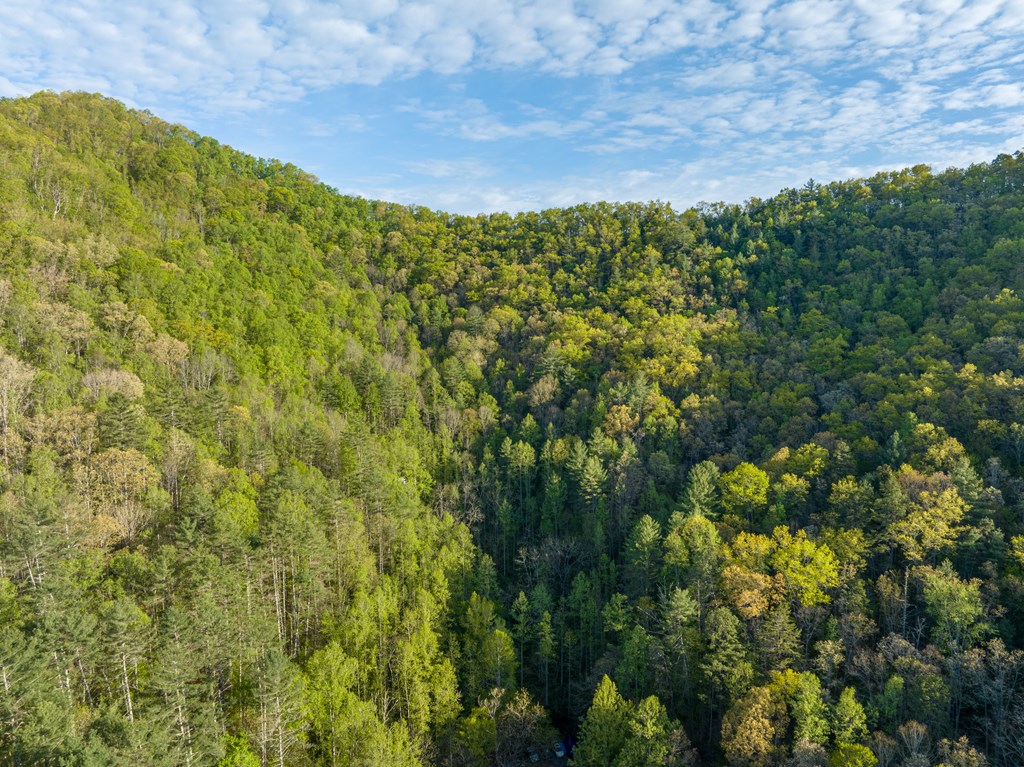 00 Sleepy Hollow Road, ROBBINSVILLE, North Carolina image 15