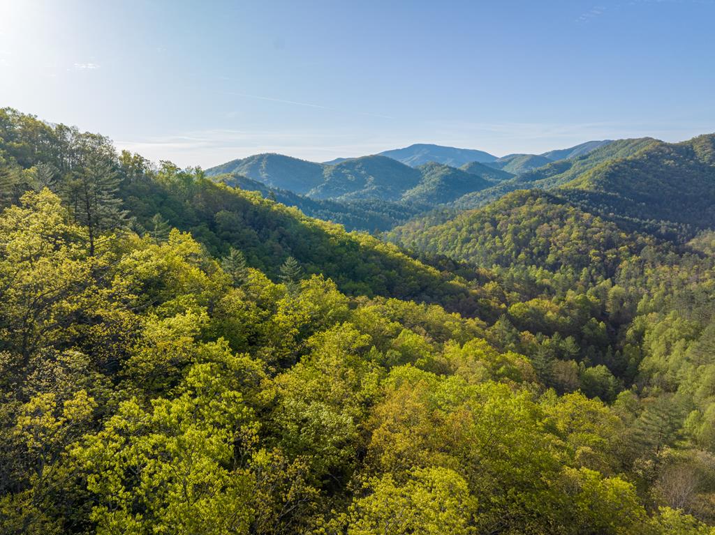 00 Sleepy Hollow Road, ROBBINSVILLE, North Carolina image 1