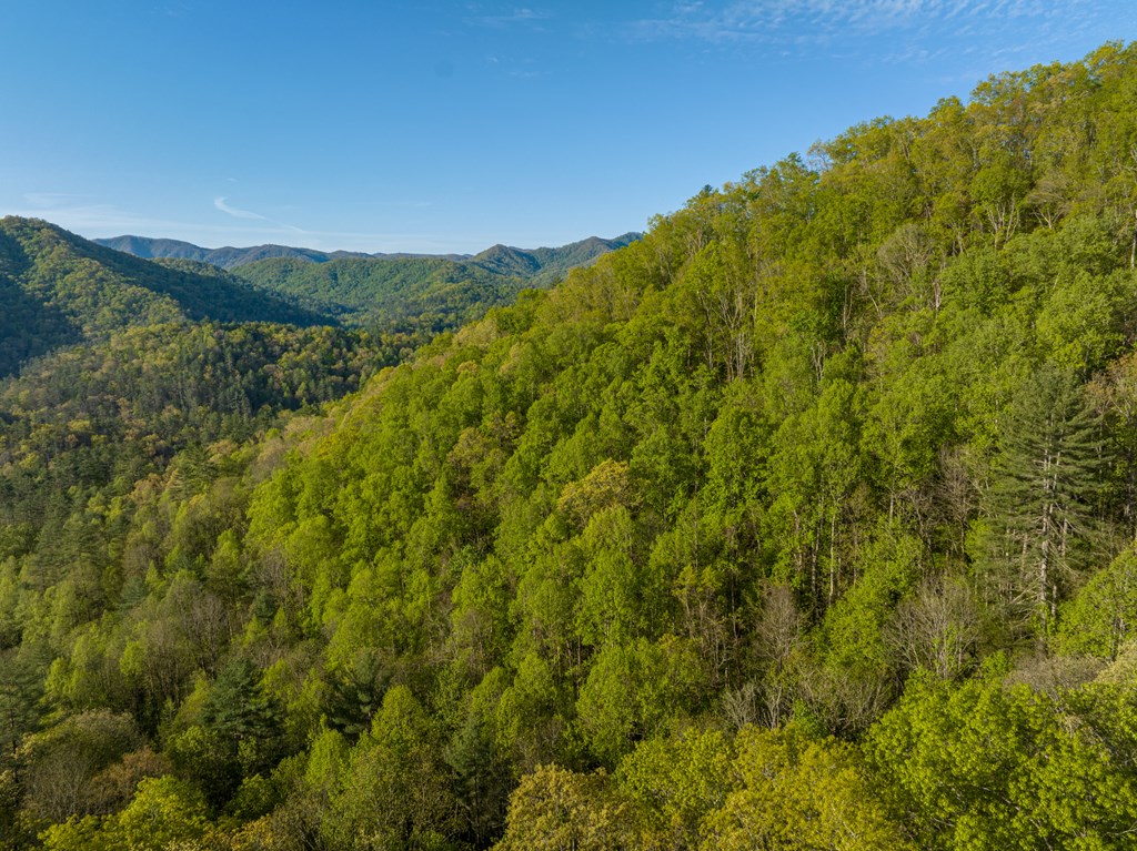 00 Sleepy Hollow Road, ROBBINSVILLE, North Carolina image 14