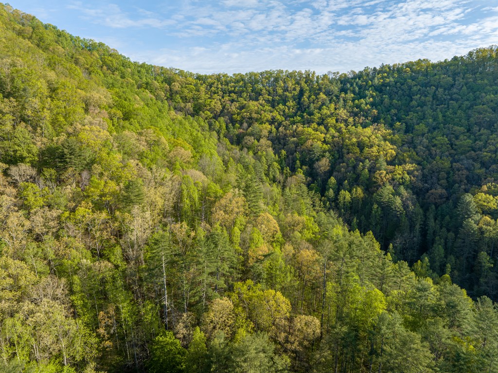 00 Sleepy Hollow Road, ROBBINSVILLE, North Carolina image 16