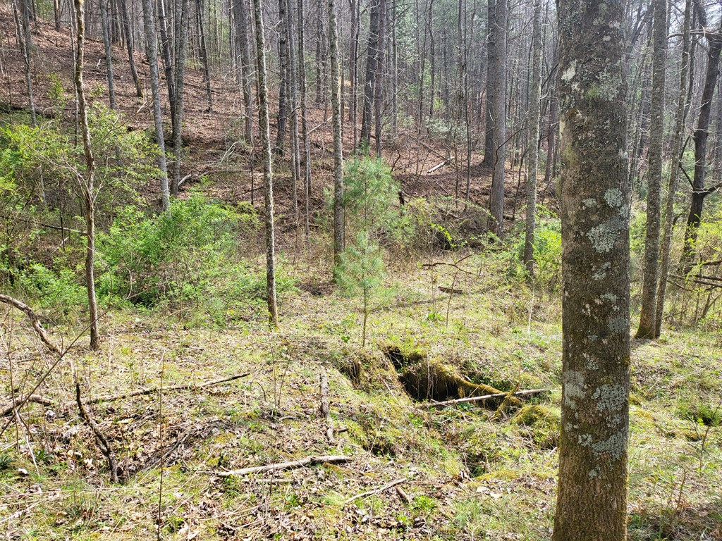 00 Sleepy Hollow Road, ROBBINSVILLE, North Carolina image 8