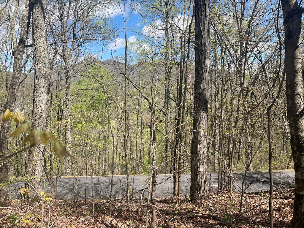 Lot 31A Mountain Harbour Drive #31A, HAYESVILLE, North Carolina image 5