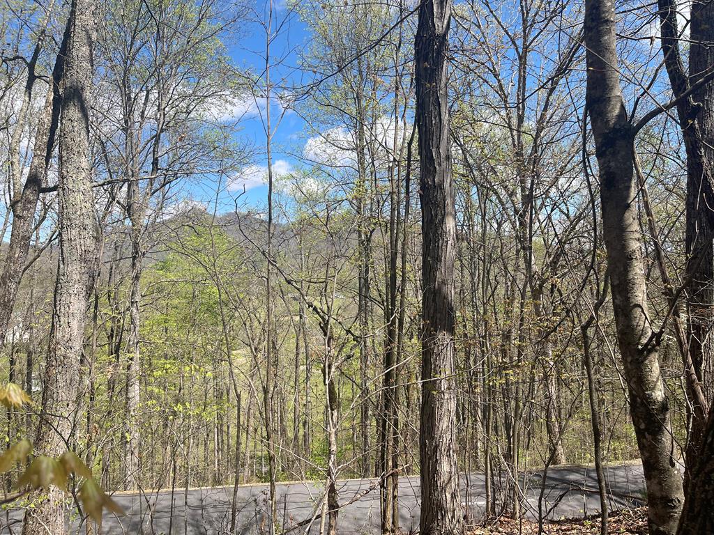 Lot 31A Mountain Harbour Drive #31A, HAYESVILLE, North Carolina image 1