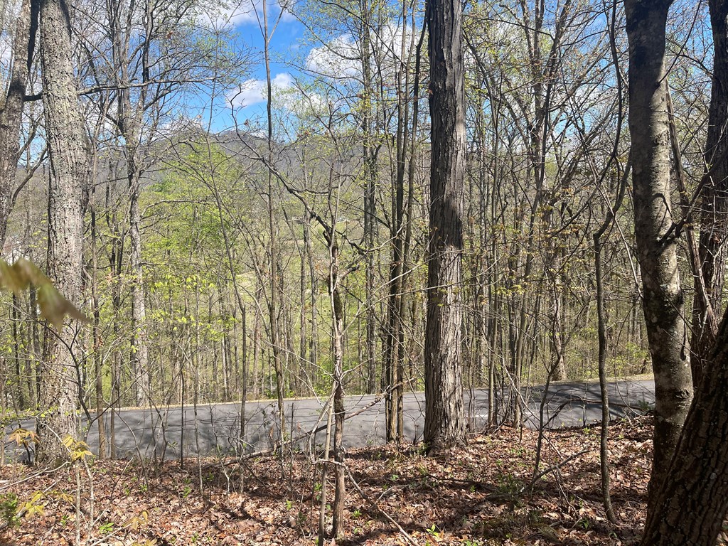 Lot 31A Mountain Harbour Drive #31A, HAYESVILLE, North Carolina image 4