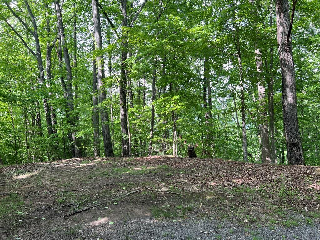 Lot 26 Longview Ridge #26, HAYESVILLE, North Carolina image 1